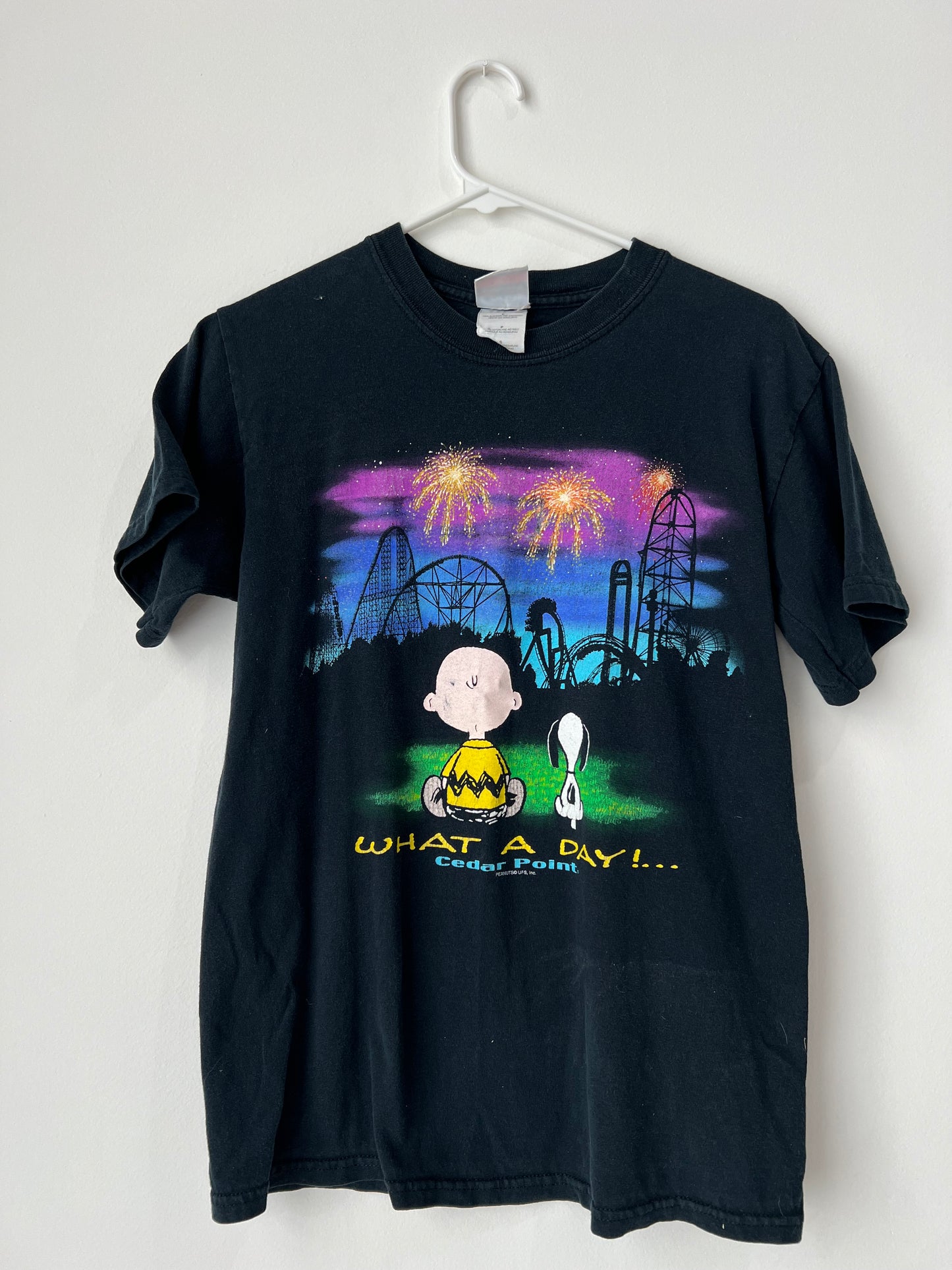 Vintage 00s Charlie Brown & Snoopy Cedar Point Tshirt